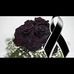Profile Picture of Magaly Maya (@magaly.maya.714) on Facebook