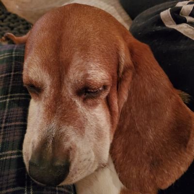 Profile Picture of Aaron Stickney (@stickney_aaron) on Twitter