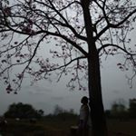 Profile Picture of Ana Sariego (@anisariego) on Instagram