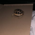 Profile Picture of Jodie Doughty (@Jodie-Doughty) on Facebook