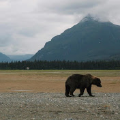 Profile Picture of Ben Pugh (@benpugh9128) on Youtube