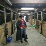 Profile Picture of Daniel Falardeau (@frizonnob) on Instagram