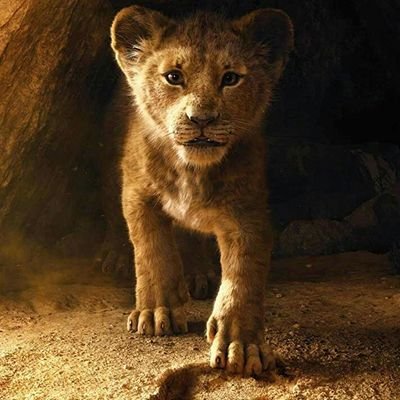 Profile Picture of Luis Armando Cordova (@LuisArm77548939) on Twitter