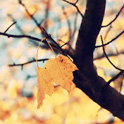 Julianne Fisher - Youtube Profile Picture of Julianne Fisher (@juliannefisher6646) on Youtube