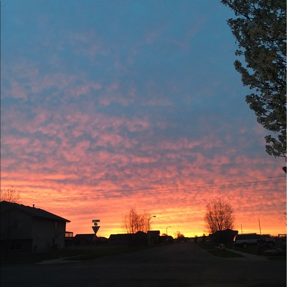 Profile Picture of Nate Mambo (@vikesfan5) on Poshmark