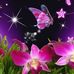 Profile Picture of Anna P Singleton (@anna.singleton.750) on Facebook