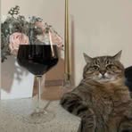 Profile Picture of Randy Stone (@randy.stone.483783) on Facebook