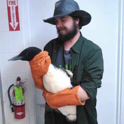 Profile Picture of Sean Indy Waitkus (@IndyEndWhoCares) on Twitter