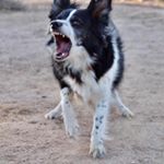 Profile Picture of Kathy Mocharnuk (@kathymocharnuk) on Instagram