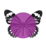 Profile Picture of Carson Walker (@lilzipkid) on Instagram