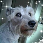 Profile Picture of Adriana Maria Castrillon (@adriana.m.castrillon.1) on Instagram