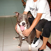 Profile Picture of Cristal Martin (@cristalmartin159) on Youtube