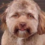 Profile Picture of Stephen Serrano (@stephen.serrano.33449) on Instagram