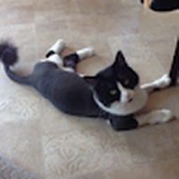 Profile Picture of Cathy Albrecht (@cathy-albrecht-6) on Quora