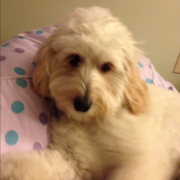 Profile Picture of Katy Sarner (@ksarner) on Poshmark