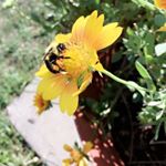 Profile Picture of Madison McCarty💞 (@maddie.spam.photography) on Instagram