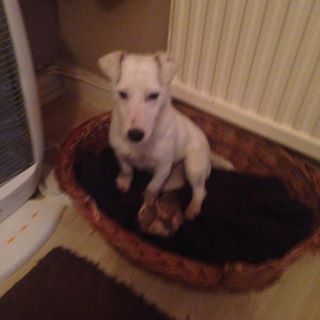 Profile Picture of Hannah Cousins (@Hannah-Cousins) on Facebook