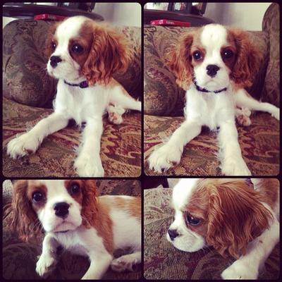 Profile Picture of Pam Mcclure (@unwelcomegan54) on Twitter