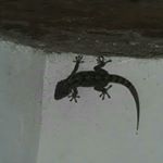 Profile Picture of schreder (@friederike.bowinkelmann) on Instagram