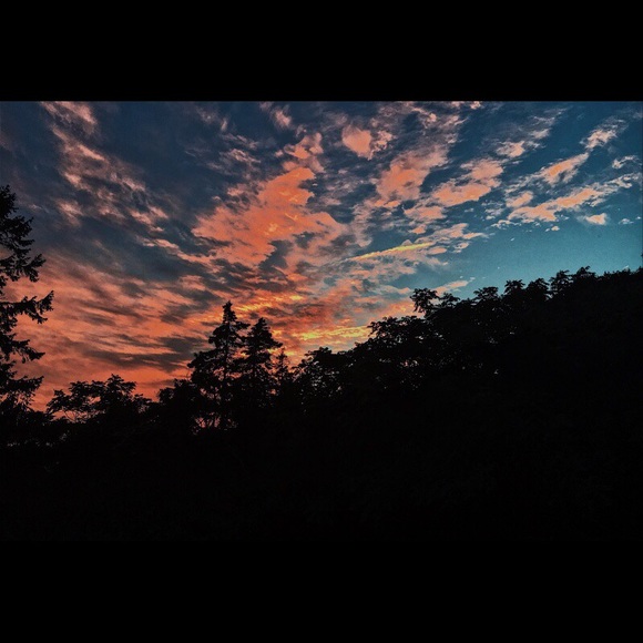 Profile Picture of Selena Tilden (@stilden31) on Poshmark