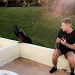 Profile Picture of Andrew strong (@strongie88) on Instagram