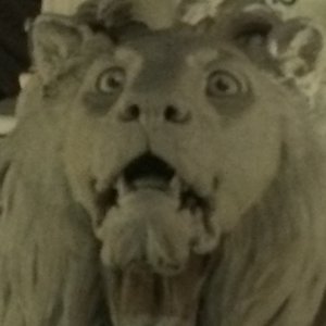 Profile Picture of Luca Canale (@luca.canale.10) on Myspace