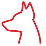 Profile Picture of Rose Lugo - Pet Markerting (@lugopets) on Instagram