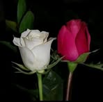 Profile Picture of Rashid Makki (@Rashid-Makki) on Facebook