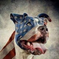 Profile Picture of Matthew Maez (@matthew-maez-4) on Quora