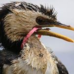 Jim Upton - Instagram Profile Picture of Jim Upton (@jim.upton2736) on Instagram