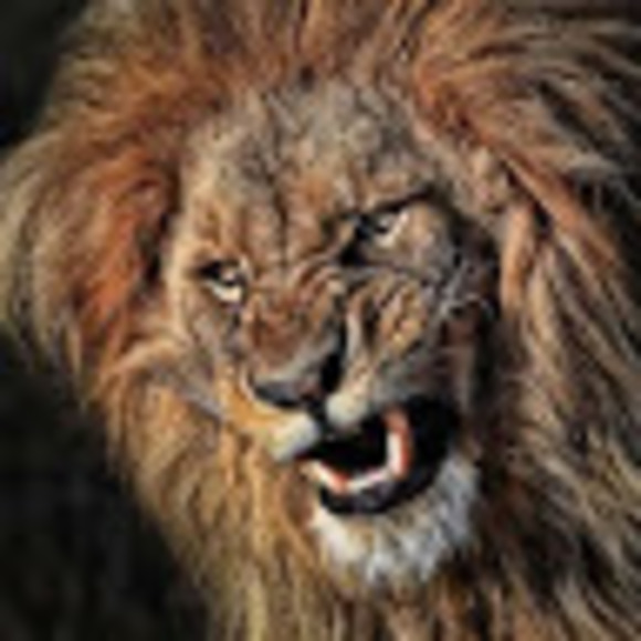 Profile Picture of Emilio Balart (@emiliobalart) on Poshmark