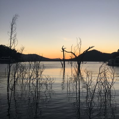 Profile Picture of Alexander Watton Twitter