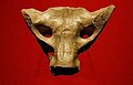 Profile Picture of Sacrum bone of Tequixquiacon Wikipedia