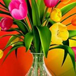 Profile Picture of Greg williams (@patrickmaurice4433) on Instagram