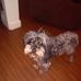 Profile Picture of Tony Crudup (@tony.crudup.7) on Facebook