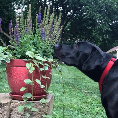 Profile Picture of Michelle A Bourque (@misha417) on Twitter