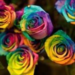 Profile Picture of Alexmantell (@alex3aki) on Instagram