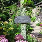 Profile Picture of Hazel Anderson (@hazelanderson43) on Instagram