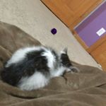 Profile Picture of Gavin Michael Wais (@gwais3) on Instagram