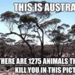 Profile Picture of Steve Gates (@straya_official) on Instagram