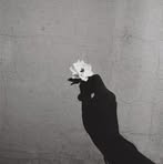 Profile Picture of Maryam Ahmad Taweel (@Maryam-Ahmad-Taweel) on Facebook