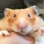 Profile Picture of 선홍 (@z_z06) on Instagram