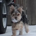 Profile Picture of Jason Dellinger (@jason.dellinger.75) on Facebook