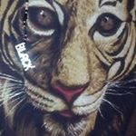 Profile Picture of reuben kennedy (@reuben_kennedy) on Instagram
