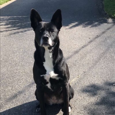 Profile Picture of Jacob Mees (@mees_jacob) on Twitter