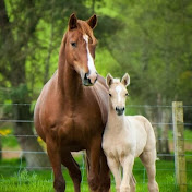 Profile Picture of Madeline And Genesis Aguirre (@madelineandgenesisaguirre2976) on Youtube