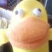 Profile Picture of Sarah Patchett (@sarah.patchett.161) on Facebook
