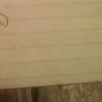 Profile Picture of David Wisby (@david-wisby-1) on Quora