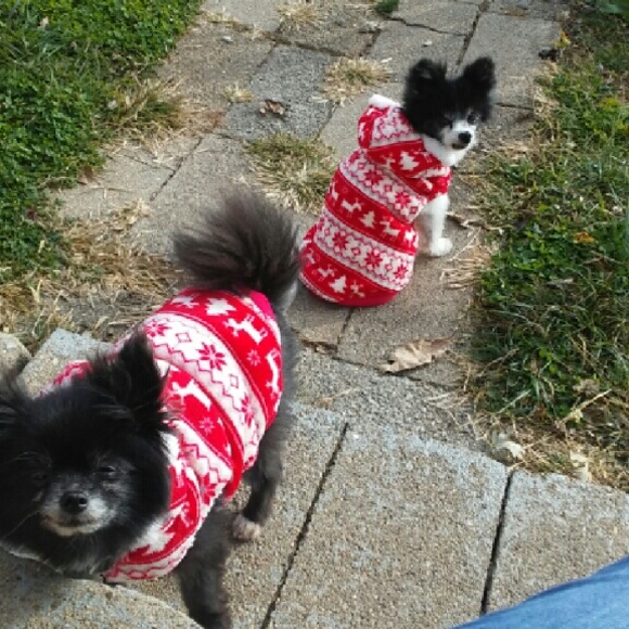 Profile Picture of Kristen Lavanway (@cskl31213) on Poshmark