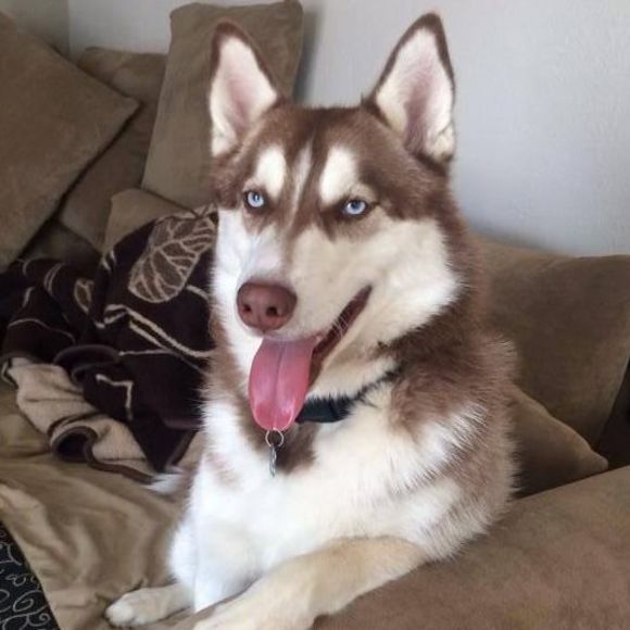 Profile Picture of Lubov Sokhrin (@sokhrin) on Poshmark